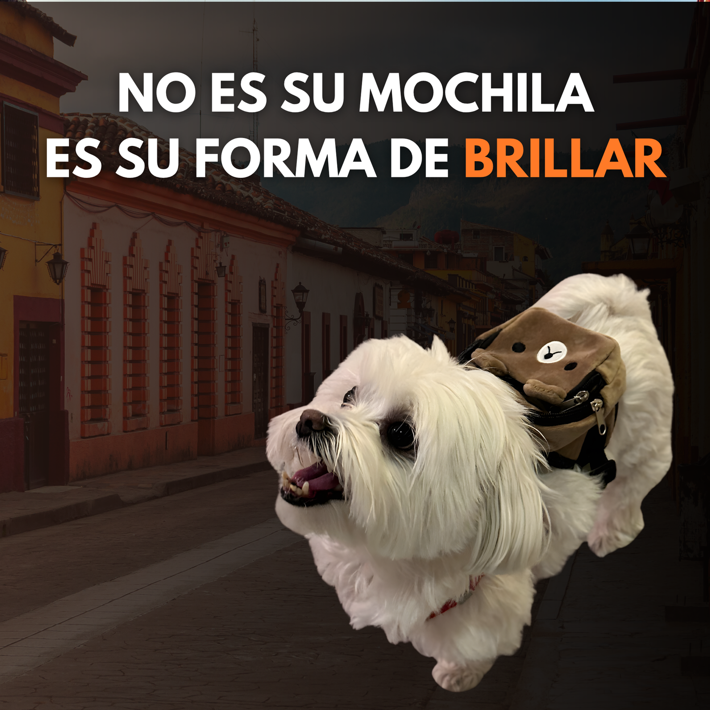 PATAS A LA MOCHILA