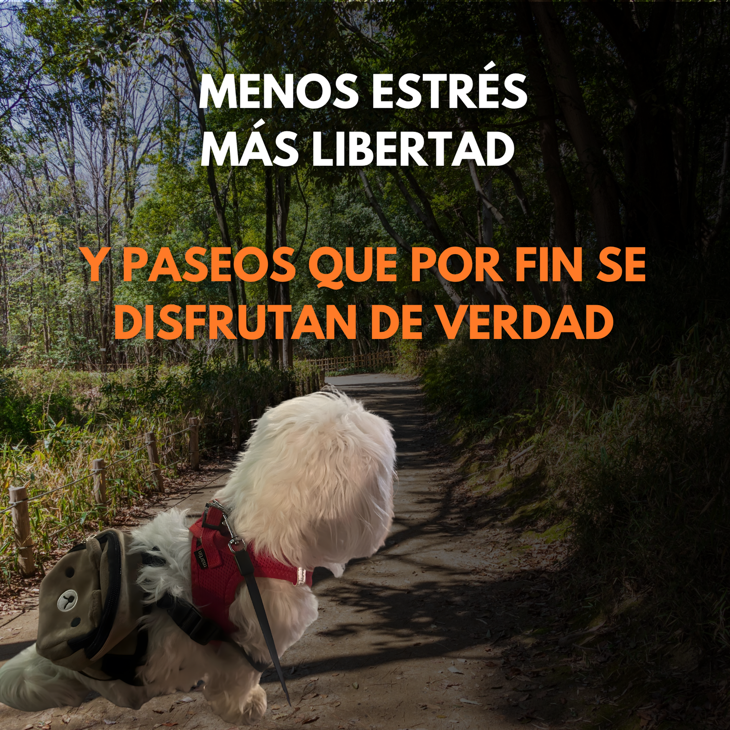 PATAS A LA MOCHILA