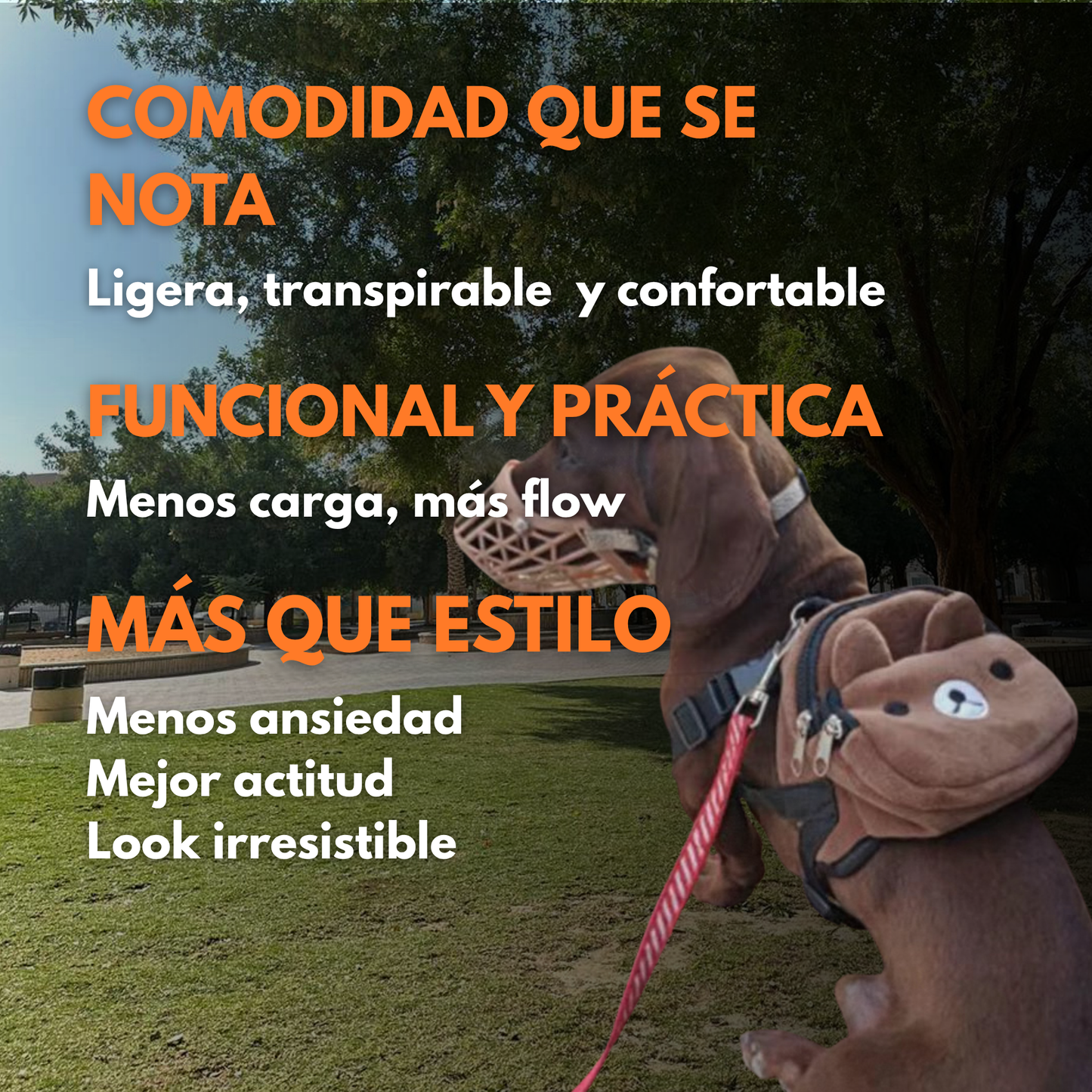 PATAS A LA MOCHILA